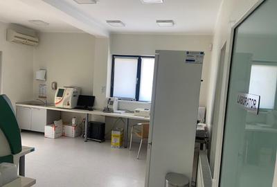 Proprietate specială, de 450 mp, în Ciolpani - 4