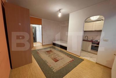 Apartament 1 camera, 37.50 mp, zona Alexandru cel Bun - 11