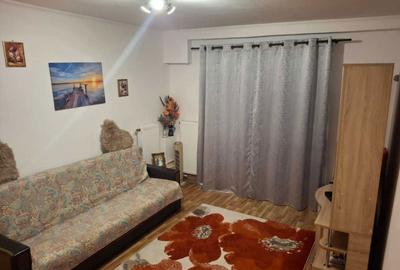 Apartament cu 2 camere semidecomandat în Viziru 1 - 7