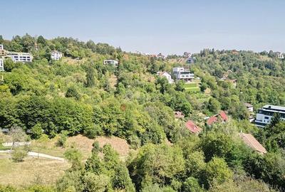 Teren intravilan Brasovul Vechi - 18