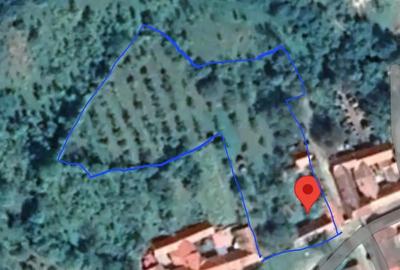 Casă cu 3 camere în Slatina-Timiș - 2