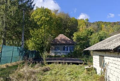 Visinesti Dambovita - 4