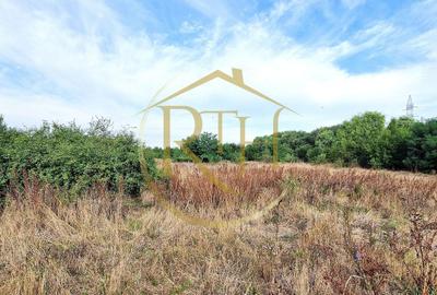 Teren agricol extravilan de 11273 mp, în Plopi - 3