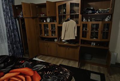 Casa la tara cu 3 camere suprafata utila 120mp, Suplacu de Tinca Bihor - 15