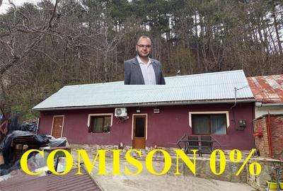 Oravita, 4 Incaperi, Zona-Lacul Mare, ZERO Comision - 12