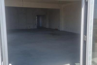 Spațiu comercial, de 300 mp, în Vidra - 6