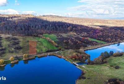 Spațiu comercial, în Sadu - 9