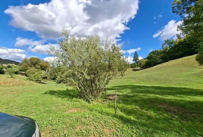 Teren de 27000 mp, în Rebrișoara - 5