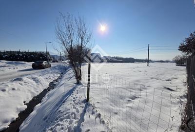 Teren cu suprafata 5300 mp intravilan - 4