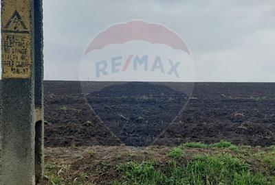 Teren agricol partial intravilan de vanzare in Filipesti jud. Bacau - 4