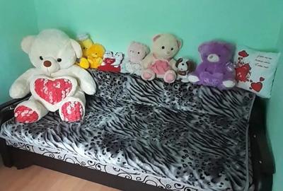 Casă cu Teren 1300 Mp în Gogoșari - 1