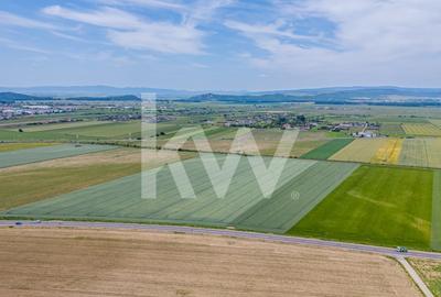 Teren de vanzare I 8 Euro/ mp I Deschidere la drum - Harman - 9