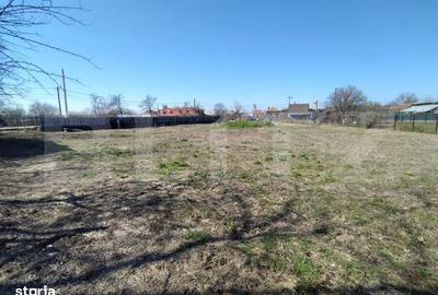 Teren de 1685 mp, în Almăj - 3