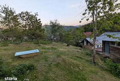Casă cu 3 camere cu Teren 720 Mp în Sărata - 7
