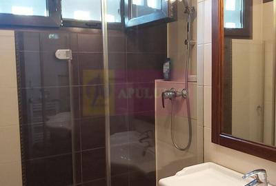 Apartament cu 3 camere semidecomandat, mobilat în Alexandru Obregia - 11