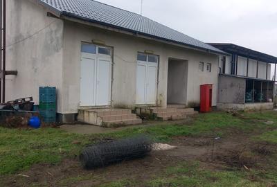 Spațiu comercial, de 284 mp, în Siliștea - 5