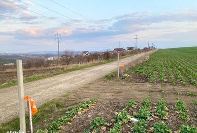 Teren de 508 mp, în Valea Lupului