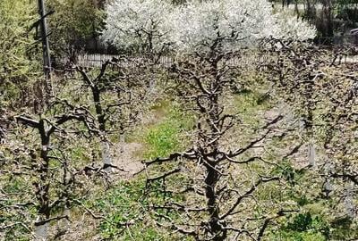 Casă cu 3 camere cu Teren 2800 Mp în Boțești - 4