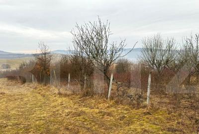 Teren de 2900 mp, în Central - 3