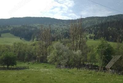 Spațiu comercial, în Vidra - 2