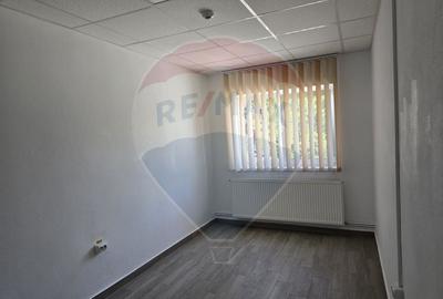 Spațiu industrial, de 600 mp, în Cârcea - 7