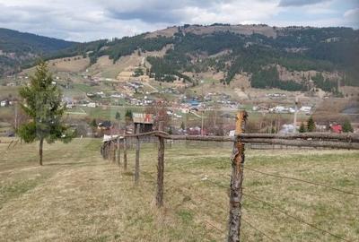 Teren de 4000 mp, în Central - 7