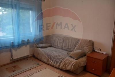 Apartament 2 cam decomandat, de inchiriat, zona parc Olosig- Lacu Rosu - 7