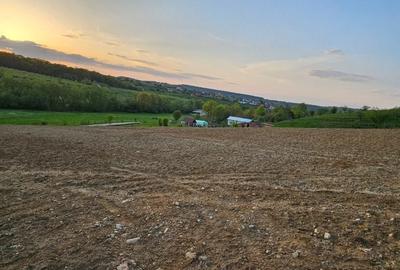 Teren de 2700 mp, în Tălmaciu - 7