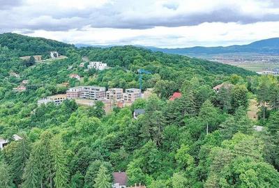 Teren Intravilan - Vedere Panoramica - 12