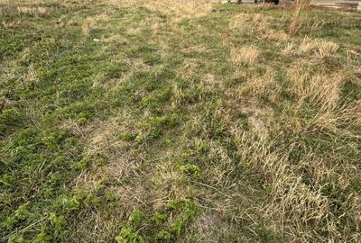 Teren Intravilan Dudestii Noi 646mp,Fs 20m,Utilitatile In Fata Parcelei,Asflat - 3