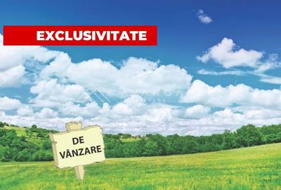 Teren constructii | 6500 mp | 40 ml front | Zona Maramuresului - 1