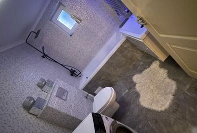 Casă cu 4 camere în Mintiu - 8