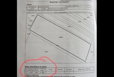 Teren de 17450 mp, în Iclod - 3