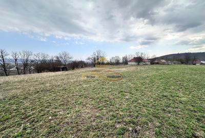 Teren Construcții intravilan de 11021 mp, în Blăgești - 12