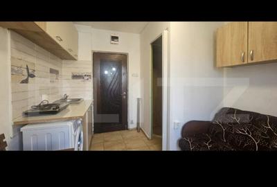 Inchiriere camere de camin cu baie, cocheta, zona Astra - 4