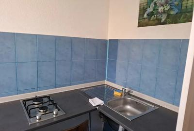 Garsoniera Confort 2 IRTA kaufland nou - 5