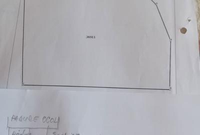 Spațiu comercial, în Dăești