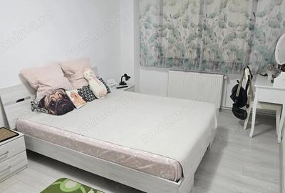 Apartament cu 3 camere decomandat în Gojdu - 11