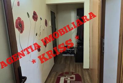 Apartament cu 2 camere semidecomandat în Banat - 2