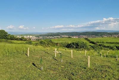 Teren de 1500 mp, în Central - 3