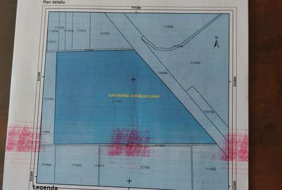 Teren de 45000 mp, în Mihail Kogălniceanu - 2