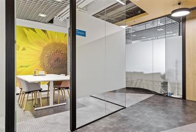 Birouri mobilate cu servicii incluse, DBH FLEXSPACE Floreasca Birouri mobilate cu servicii incluse, DBH FLEXSPACE Floreasca - 2