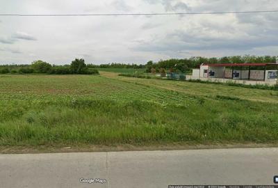 Teren de 10300 mp, în Joița - 1