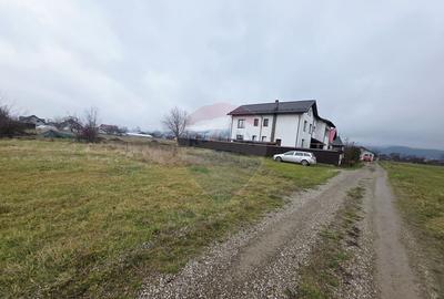 Teren 519mp Dumbrava Rosie / Strada CRANGULUI - 4