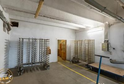 Spațiu comercial, de 1,341 mp, în Valea Crișului - 9