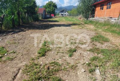 Teren intravilan 812 mp PUZ aprobat utilitati pe teren Talmaciu - 4