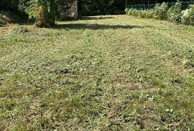 Teren intravilan de vanzare 500 mp Valea Avrigului - 1