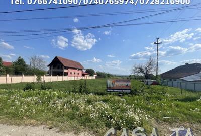 Parcele de Vanzare, Calea Bucuresti - Aleea Sfantu Dumitru - 2