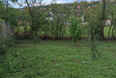 Spațiu comercial, în Românești - 2