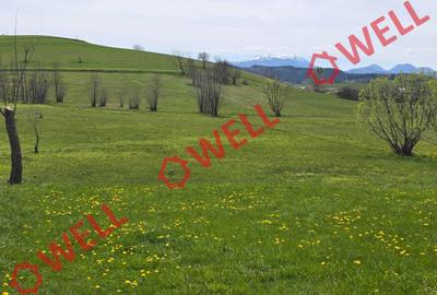 Teren agricol extravilan de 6519 mp, în Sărămaș - 3